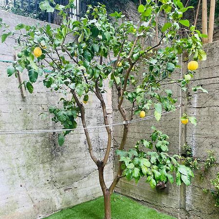 Lemon Tree Resort - Freeparking - Garden 제노바 외부 사진